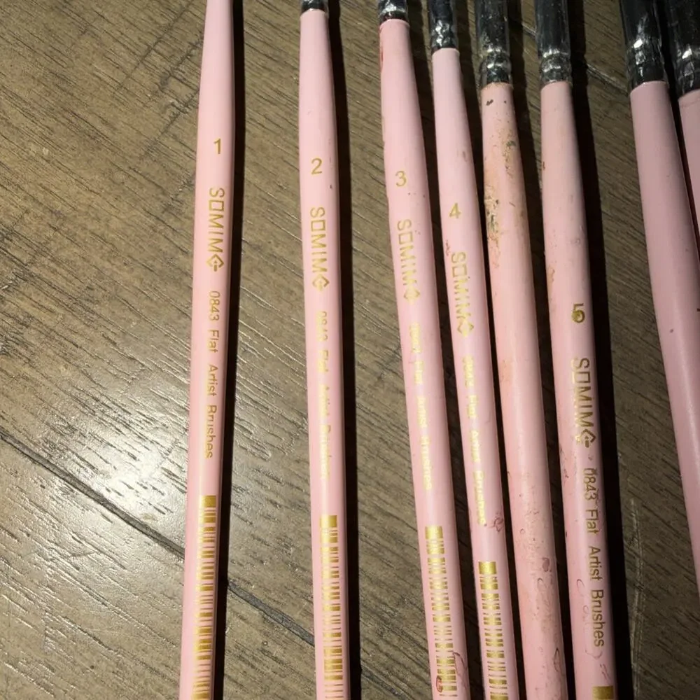 Somime Professional Watercolor Paint Brush Set 12 Pcs Round Flat Pink Well Loved
